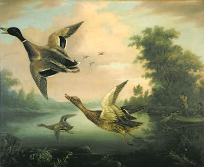 Caccia alle Anatre da Charles Henry Schwanfelder