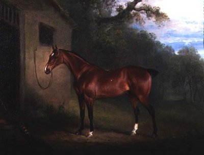 Ritratto di un cavallo baio legato a una stalla da Charles Henry Schwanfelder
