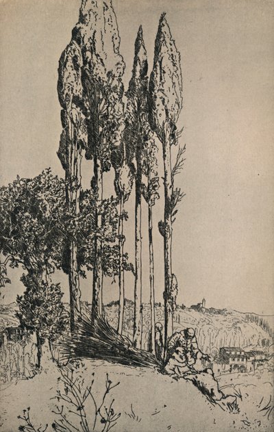 Alberi di cipresso vicino a Siena, 1903 da Charles Holroyd