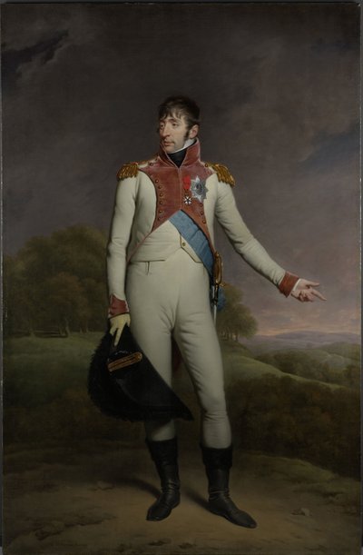 Luigi Napoleone Bonaparte, Re d