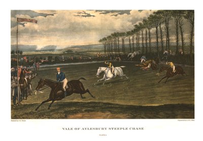 Vale of Aylesbury Steeple Chase, Tavola 4 da Charles Hunt
