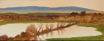 Tramonto su uno stagno da Charles Hutton Lear