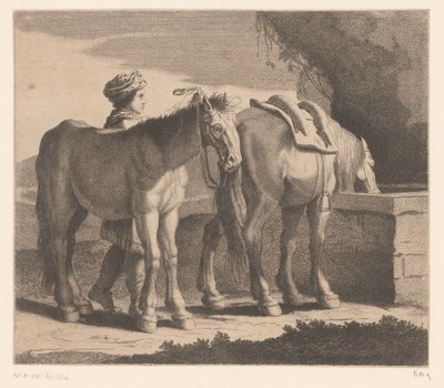 Cavalli che bevono da Charles II Errard (attributed to)