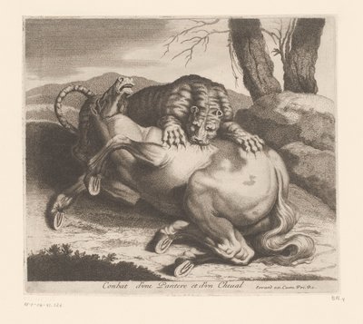 Combattimento tra pantera e cavallo da Charles II Errard (attributed to)