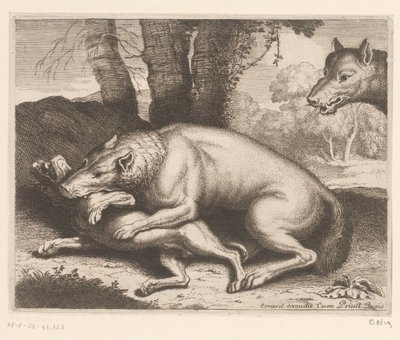 Cane attaccato da un lupo da Charles II Errard (attributed to)