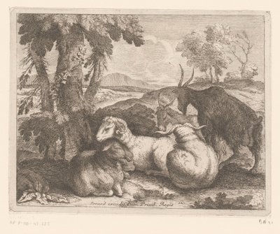 Pecore e capre sotto un albero da Charles II Errard (attributed to)