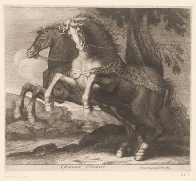 Cavalli impennati da Charles II Errard (attributed to)