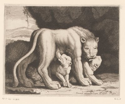 Leonessa che allatta da Charles II Errard (attributed to)