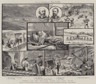 Aria fresca e lavoro sano per gli arabi della città, note presso la filiale del Lancashire della Children