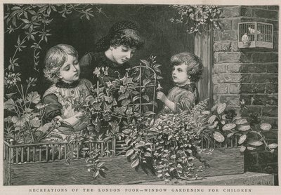 Ricreazioni dei poveri di Londra: Giardinaggio alla finestra per bambini (incisione) da Charles J. Staniland