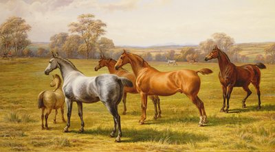 Cavalli e puledro in un campo da Charles Jones