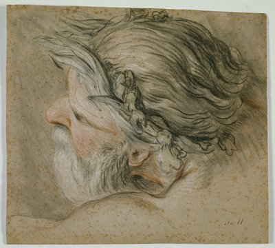 Testa di un dio del mare da Charles Joseph Natoire