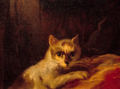 Mademoiselle de Charolais (dettaglio) da Charles Joseph Natoire