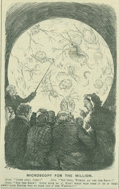 Microscopia per le masse: 1878 (incisione) da Charles Keene