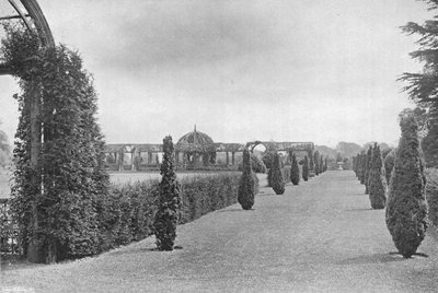 Un Viale Verde da Charles Latham