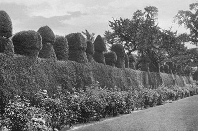 Fulford Hall: Lavoro di Topiaria Eccentrico da Charles Latham