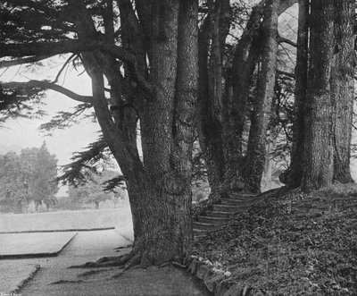 I gradini del giardino da Charles Latham