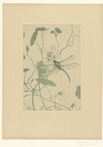 Libellula su fiore di nasturzio da Charles Louis Houdard