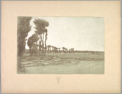 Serie di paesaggi: Paesaggio, Tavola 5, Remarque, Tre spighe di grano da Charles Marie Dulac