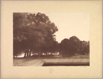 Serie di paesaggi: Paesaggio, Tavola 7, Remarque, Papaveri da Charles Marie Dulac