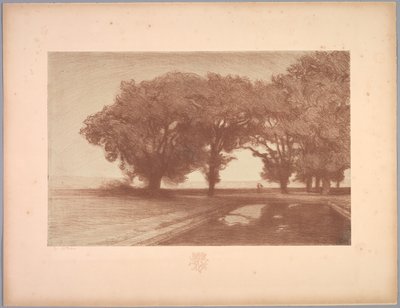 Serie di paesaggi: Paesaggio, Tavola 8, Remarque, Viole del pensiero da Charles Marie Dulac