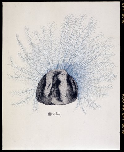 Cappello piumato - “La Mode en 1912” di Marcelle Demay, illustrazione di Charles Martin da Charles Martin