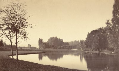 Bois de Boulogne, 1858 da Charles Marville