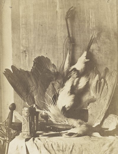 Natura morta di selvaggina, c.1853-55 da Charles Marville