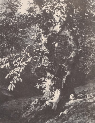 Uomo sdraiato ai piedi di un castagno, 1850-53 da Charles Marville