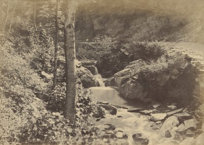 [La valle svizzera a St. Goarshausen] da Charles Marville