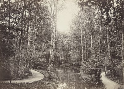 Mare aux biches (Stagno delle cerve), Bois de Boulogne da Charles Marville