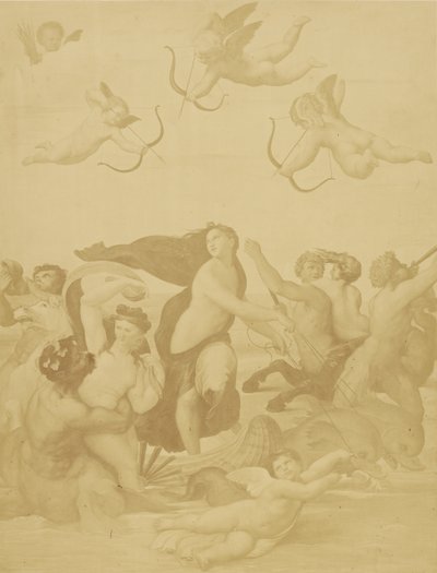 [Riproduzione di Galatea di Raphaël]. da Charles Marville