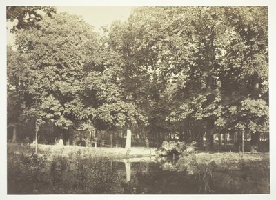 Senza titolo, c. 1850. [Alberi vicino all