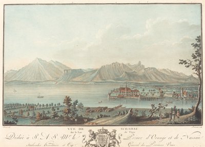 Vista di Schadau da Charles Melchior Descourtis