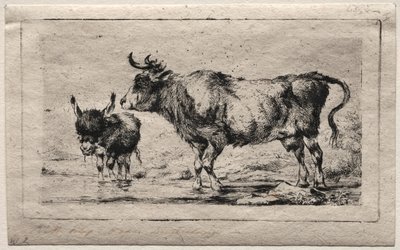 Mucca e Asino da Charles Meryon