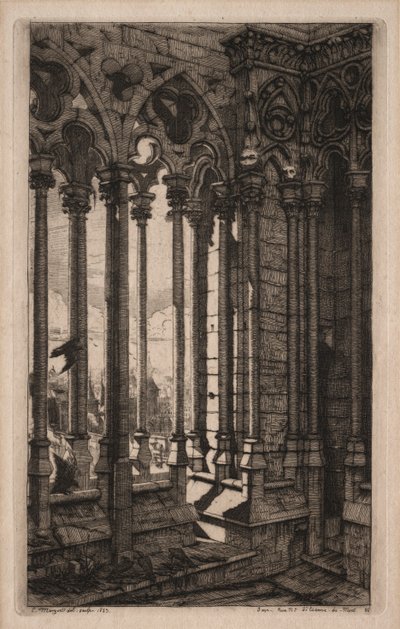 Incisioni di Parigi: La Galleria di Notre Dame, 1853 da Charles Meryon