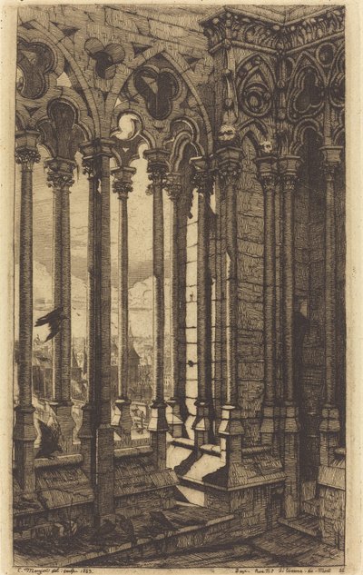 La Galleria di Notre-Dame, Parigi da Charles Meryon