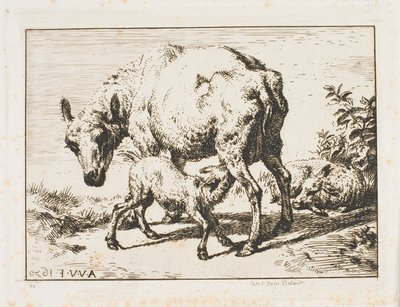 La Pecora con Due Agnelli da Charles Meryon