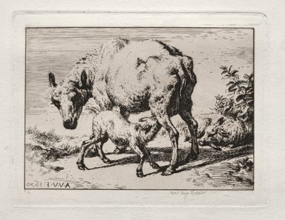 La pecora con due agnelli, 1850 da Charles Meryon