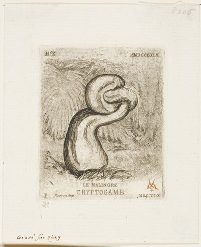 Il Criptogama Malato da Charles Meryon