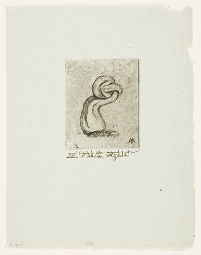 Il crittogama malaticcio da Charles Meryon