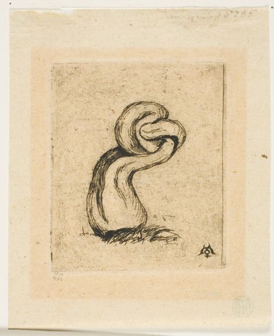 Il crittogama malaticcio da Charles Meryon
