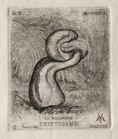 Il crittogama malaticcio, 1860 da Charles Meryon