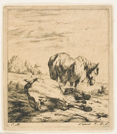 I due cavalli da Charles Meryon