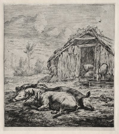 Tre maiali sdraiati davanti a una stalla, 1850 da Charles Meryon