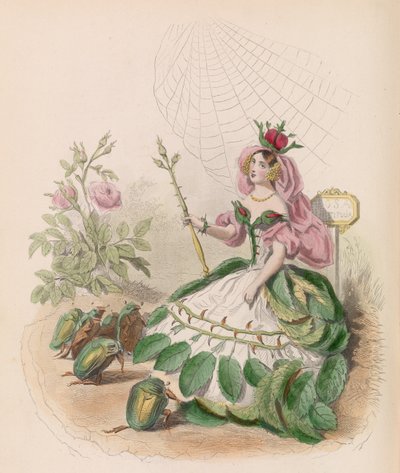 Les Fleurs Animées da Charles Michel Geoffroy