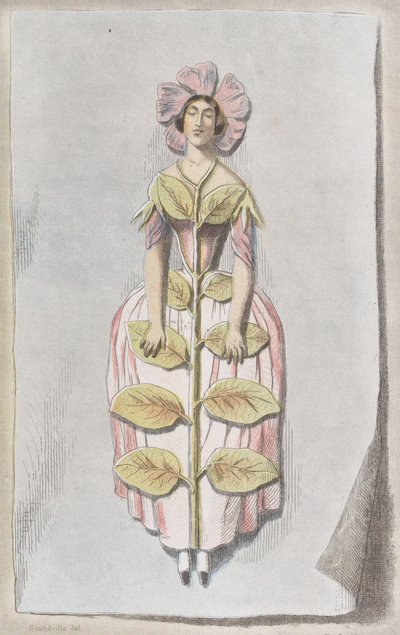 Pervenche Desséchée, da Les Fleurs Animées, 1847 da Charles Michel Geoffroy