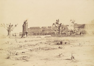 [Paesaggio brullo con una fortezza non identificata, Delhi]. da Charles Moravia