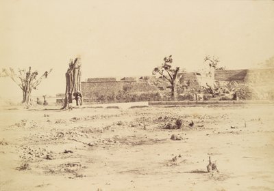 Paesaggio arido con una fortezza non identificata, Delhi da Charles Moravia