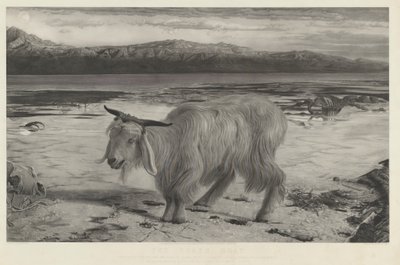 Il capro espiatorio da Charles Mottram after William Holman Hunt